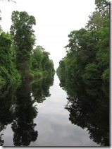 Dismal Swamp (55)