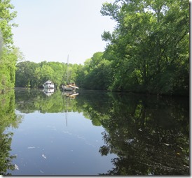 Dismal Swamp (5)