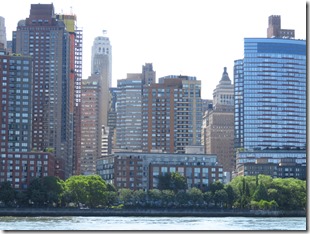 New York (29)