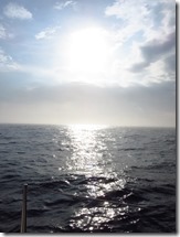 Sandy Hook (2)