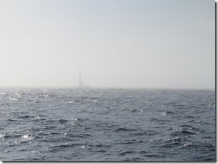Sandy Hook (3)
