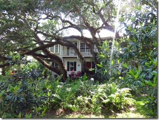 Vero Beach (43)