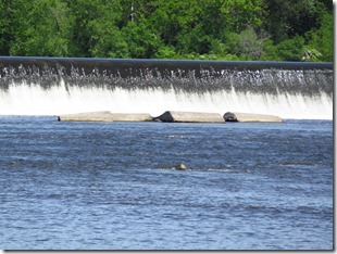 Canal Champlain (13)