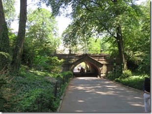 New York (40)
