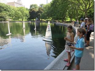 New York (43)